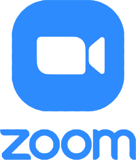 Zoom Icon